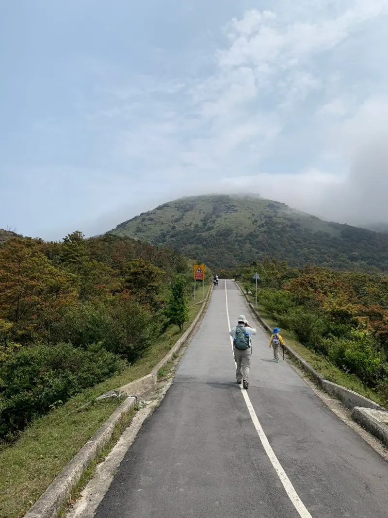 智能照明与调光系统在西南地区智慧建筑中的应用要点