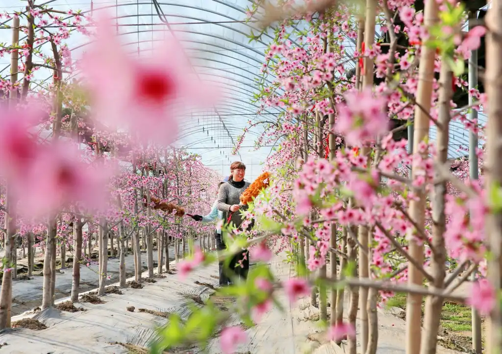 西南地区智能照明项目节能验收标准与调光系统设计要点